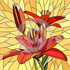 Vector illustration of flower red lilies.