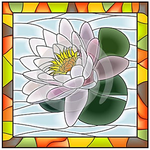 Vector illustration of flower white water lily.