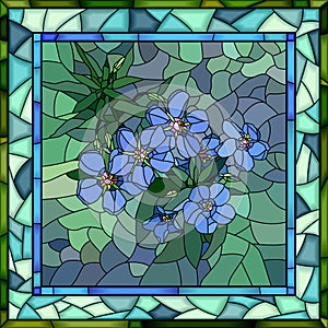 Vector illustration of flowers blue anagallis.