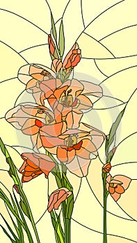 Vector illustration of flowers red gladiolus.