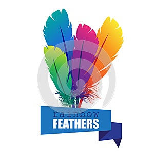 Vector illustration of four colorful feathers with origami banner