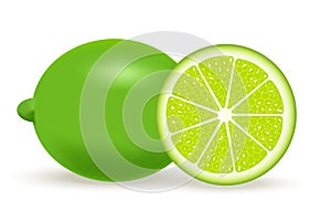Vector illustration of fresh lime isolated on white background.