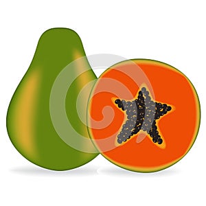 Vector illustration fresh papaya