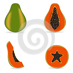 Vector illustration fresh papaya