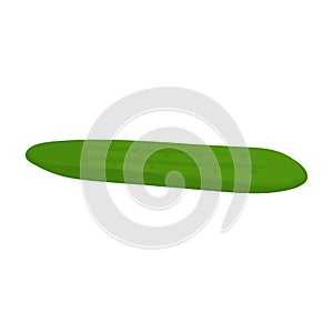 Vector illustration with fresh ripe green cucumber isolated on a white background. Diet food and ingredient for cosmetics. Farm