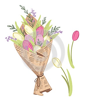 Vector illustration of a fresh sprong flower bouquet of tulips, wrapped in craft paper