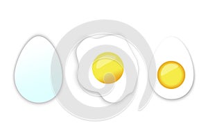 Vector illustration of a fried egg. Cutaway chicken egg. Stock image