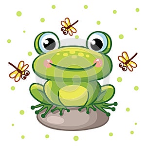 Vector illustration of frog on a rock.