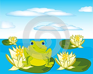 Frog sits on water lily in pond