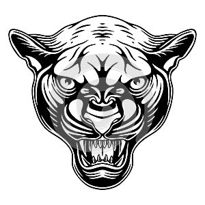 vector illustration Front view Panther head with angry pose and stalking prey black and white