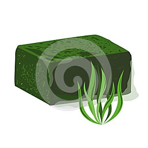 Frozen spirulina block vector photo