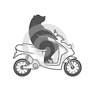 Vector Illustration Funny Bear