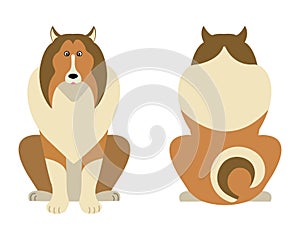 Vector illustration of funny cartoon dogs breeds set. Border Colie