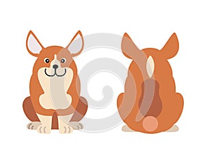 Vector illustration of funny cartoon dogs breeds set. Cardigan Welsh Corgi