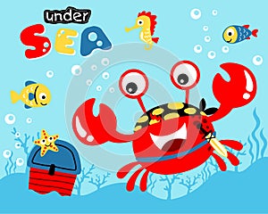 Vector illustration of funny crab in pirate costume with marine animals finding treasure undersea