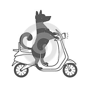 Vector Illustration Funny Dog