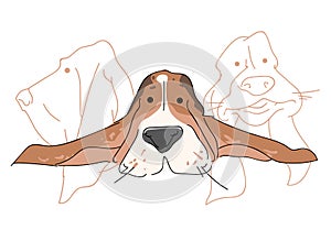 Vector illustration funny dog thoroughbred on a white background