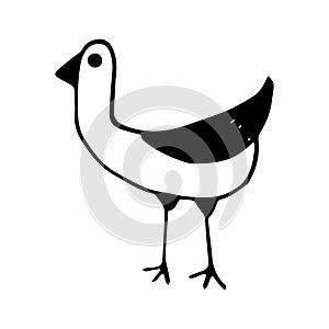 Vector illustration of funny doodle bird seagull.