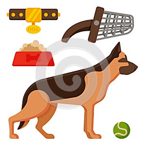 Vector illustration funny thoroughbred german shepherd dog attentive happy pet pedigree canine accessory.