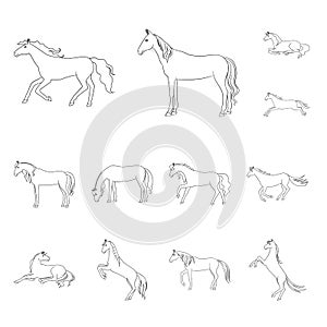 Vector illustration of galloping and farm icon. Set of galloping and mustang stock symbol for web.