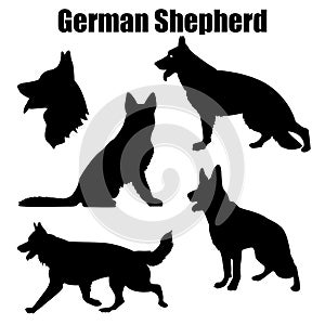 Vector illustration of German Shepherd dog