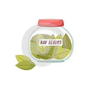 Vector illustration of a glass jar with bay leaves. Spices