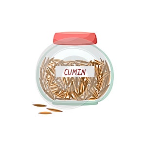 Vector illustration of a glass jar with cumin seeds. Spices