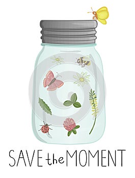 Vector illustration of glass jar with insects and flowers inside