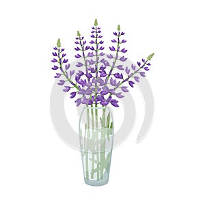 Vector illustration of a glass vase with a bouquet of lupines
