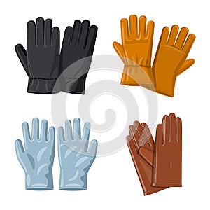 Vector illustration of glove and winter logo. Set of glove and equipment stock symbol for web.