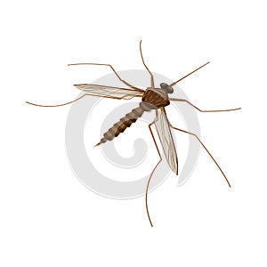 Vector illustration of gnat and mosquito sign. Set of gnat and virus vector icon for stock.