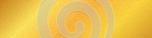 Vector illustration of gold colored texture background banner