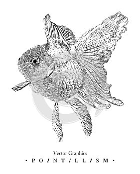 Vector illustration with goldfish drawn by hand. Graphic drawing, pointillism technique