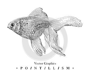 Vector illustration with goldfish drawn by hand. Graphic drawing, pointillism technique