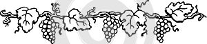 Grape Border Illustration