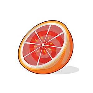 Vector illustration of grapefruit half