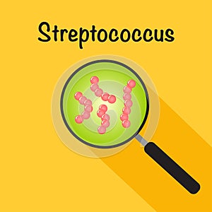 vector illustration graphic of the bacteria streptococcus magnified within a magnifying glass