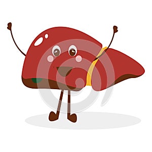 Vector Illustration Graphic of the Human Liver