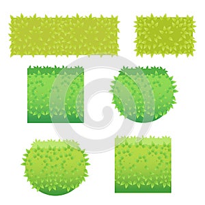 Vector Illustration Of Grass