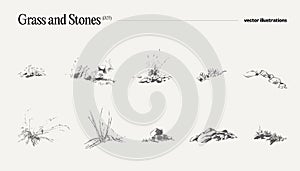 Vector illustration of grass and stones, drawing