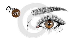 Vector illustration of gray female eye with extended eyelashes and eyebrow. Open eye.