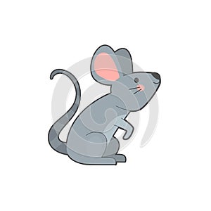 Vector illustration of gray mouse