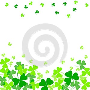 Vector illustration of green clover leaves on white. St Patrick`s Day background.