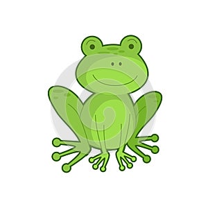 Vector illustration of green frog