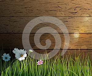 Vector illustration Green grass and Wildflowers