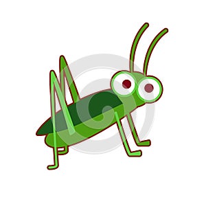 Vector illustration of green grasshopper