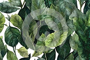 Vector illustration of green leaves background wallpaper pattern