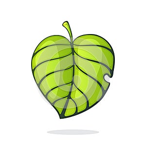Vector illustration. Green tree leaf. Eco or bio sign. Symbol of ecology. Graphic design with contour