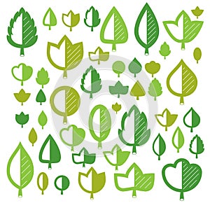 Vector illustration of green tree leaves isolated on white background. Set of simple drawn nature design elements, graphic symbol