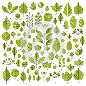 Vector illustration of green tree leaves isolated on white background. Set of simple drawn nature design elements, graphic symbol